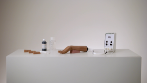 Arterial Puncture Wrist 15